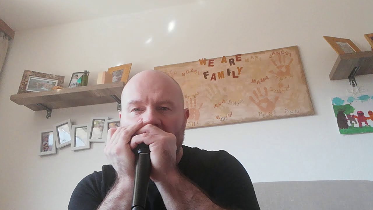 500 Miles & Don't Worry Medley - Harmonica Melody Maker