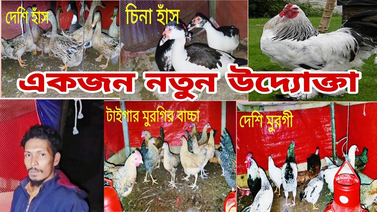 নতুন উদ্যোক্তা রাশেদ চৌধুরী #foryou #cattleworld #youtubeshorts #shortvideos #youtube #video #viral 