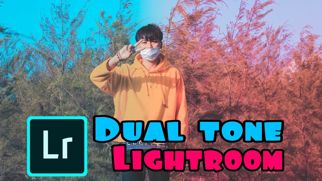 Tutorial Mudah edit Dual tone - Lightroom mobile