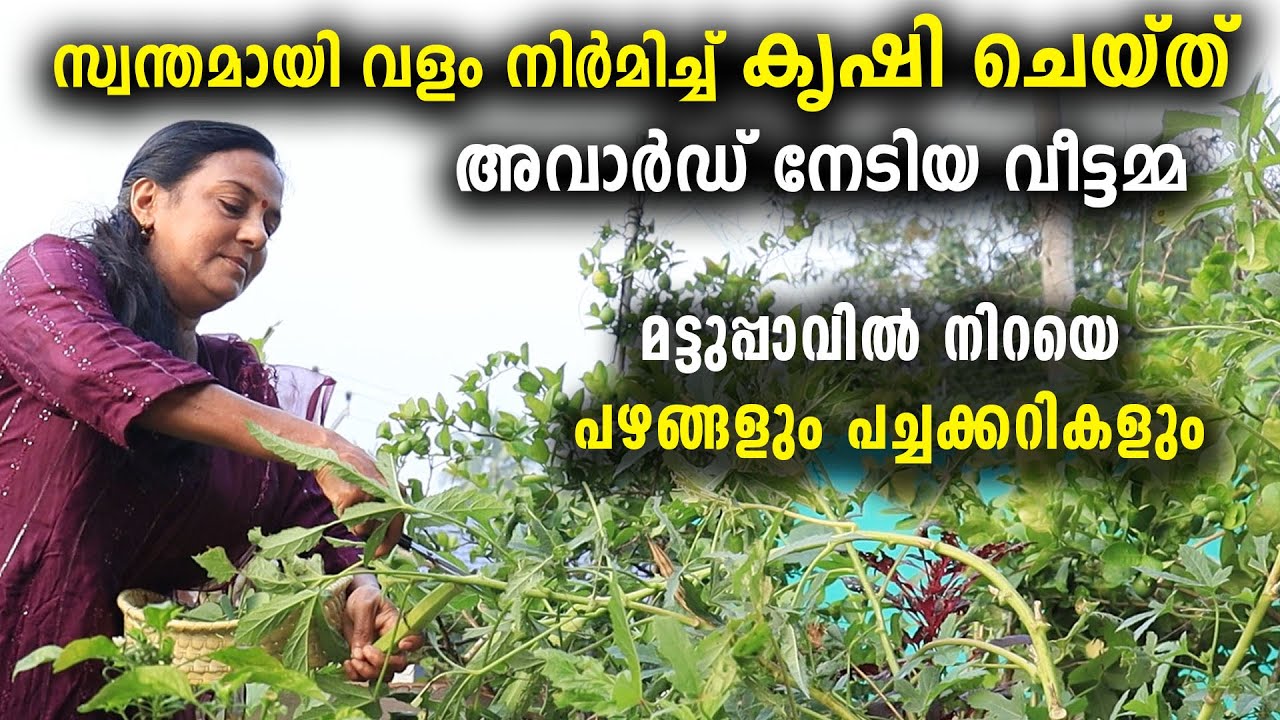 സ്വന്തമായി വളം നിർമിച്ചു കൃഷി ചെയ്‌ത് അവാർഡ് നേടിയ വീട്ടമ്മ |മട്ടുപ്പാവിൽ നിറയെപഴങ്ങളുംപച്ചക്കറികളും
