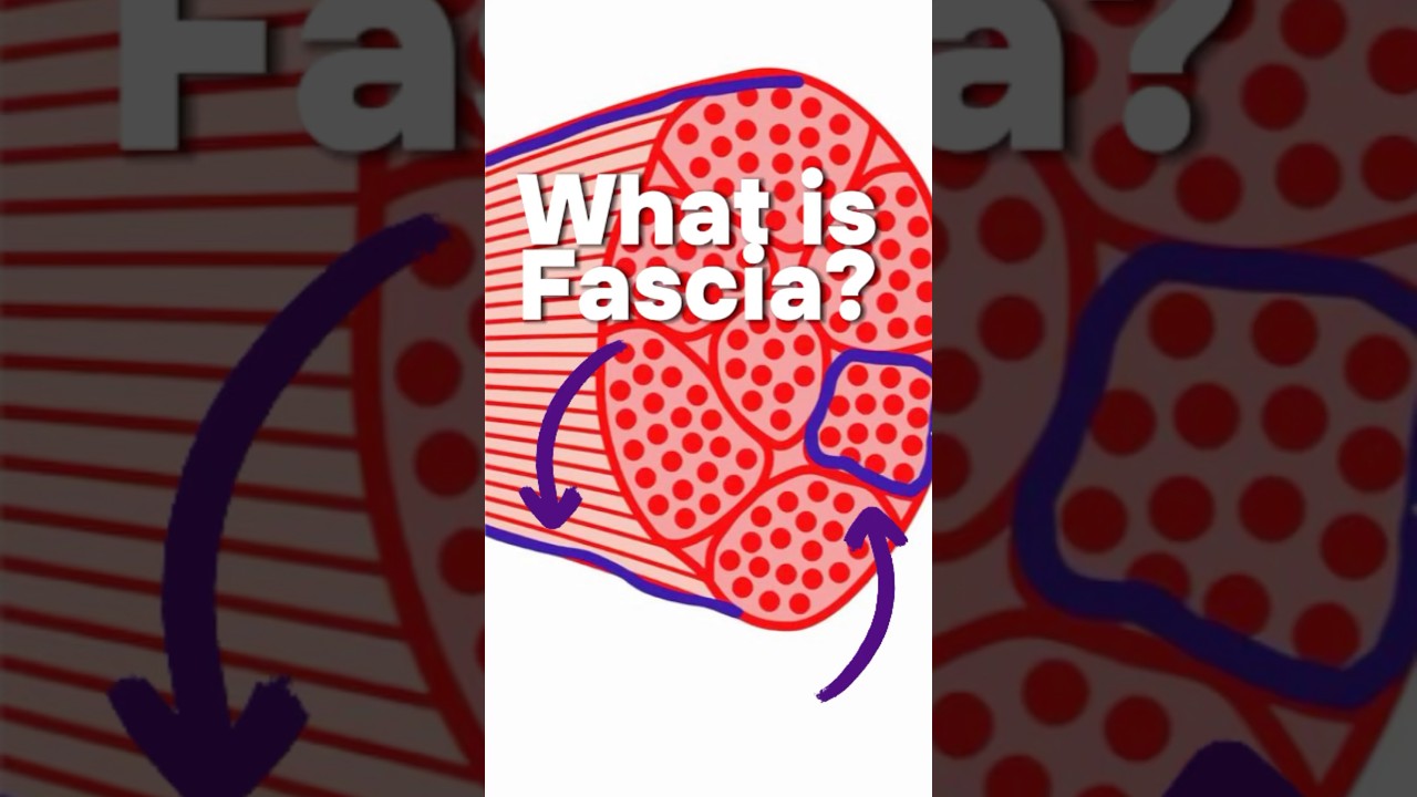 Czym jest powięź?