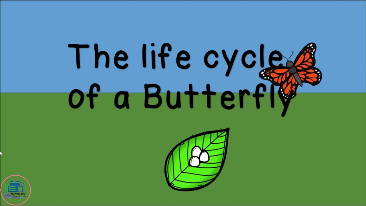 The Life Cycle of a Butterfly - Kindergarten Science