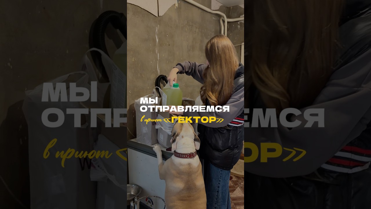 Сбербанк +7 900 358-88-94Для копирования #79003588894 #чистыедела #фонддобрыхделсептивит