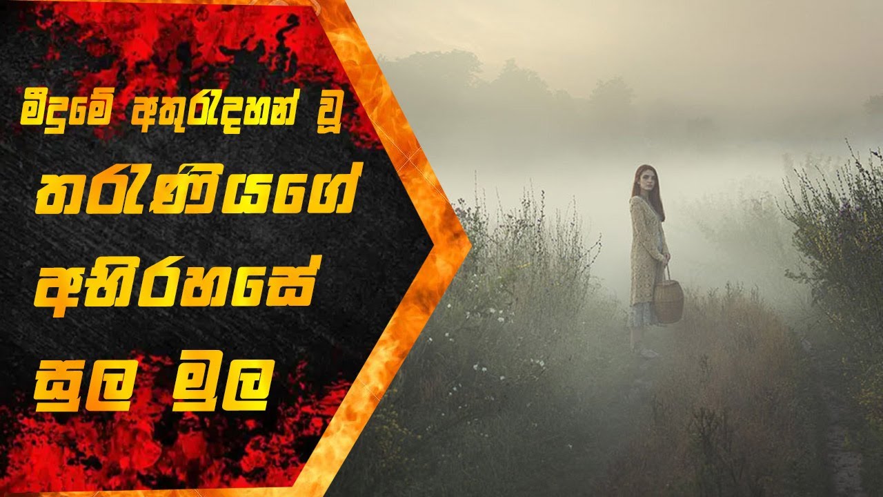 16 හැවිරිදි දැරියක් හෝඩුවාවක් නොමැතිව අතුරුදහන් වේ,The Girl In The Fog Sinhala Review, Itrix