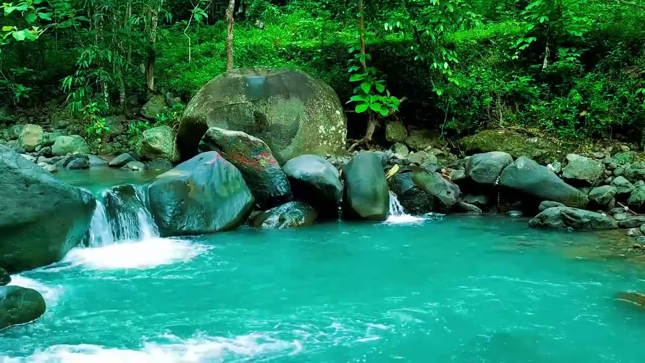 Calming Forest Ambience - River Flowing in Hidden Forest Ambience for Rest, Medicine
