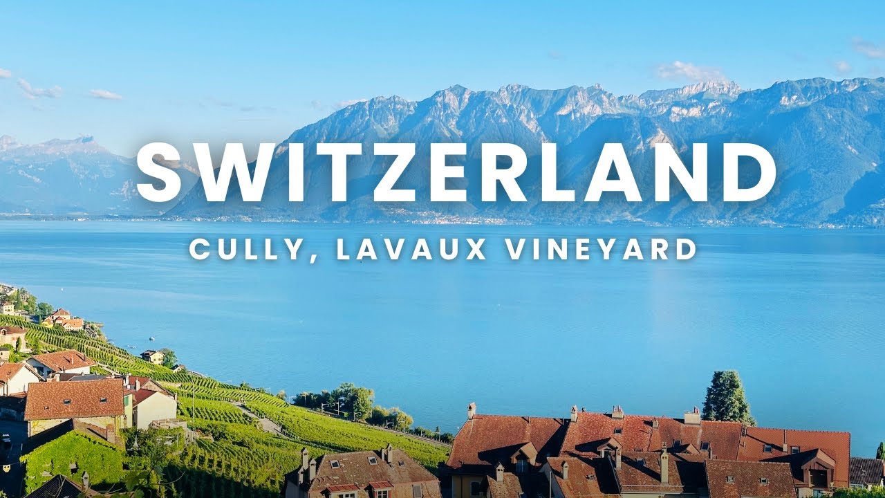 Solo Hiking 11Km in Cully, Switzerland