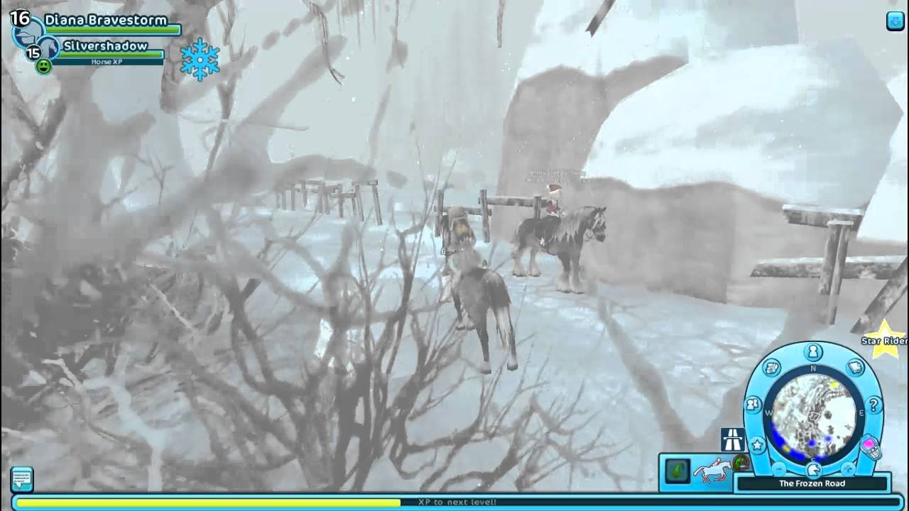 Buying Fjord Horse - Advent 10 -