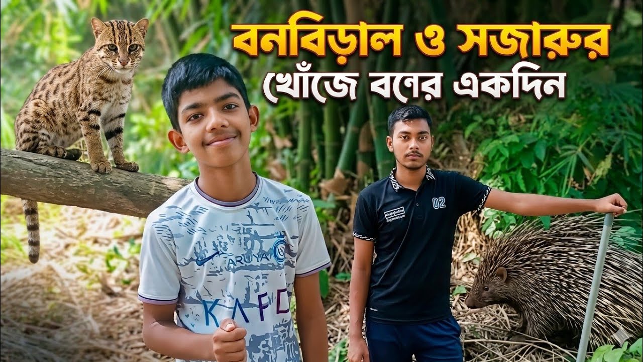  বনবিড়াল আর সজারু খুঁজতে গিয়ে যা পেলাম... দেখে আমরা তো অবাক! 🐈‍⬛🦔😱||part 1||
