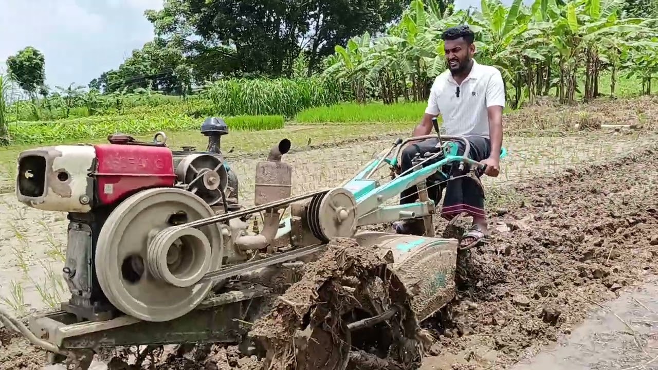 ধান লাগানোর জন্য নিজের জমিতে নিজেই পাওয়ার টিলার দিয়ে চাষ দিচ্ছি 
