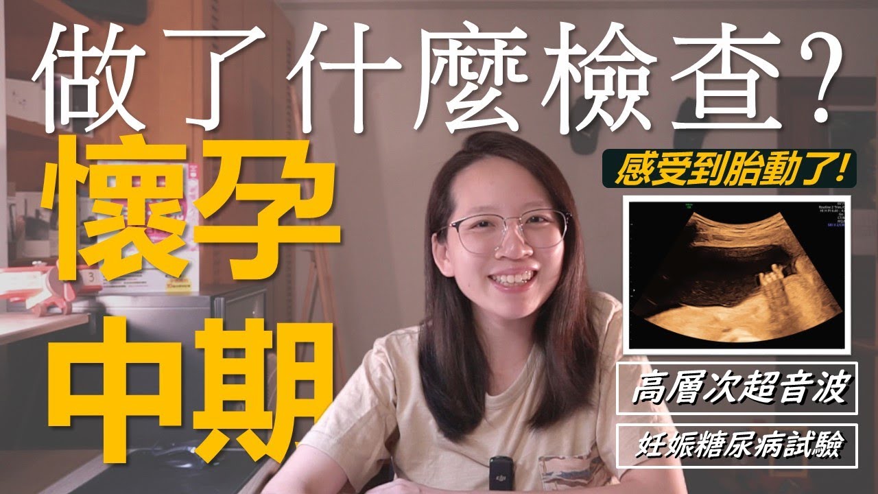 懷孕中期做了什麼檢查？/高層次超音波是什麼？/感受到胎動了！/#NIUVLOG/Season 1 Ep 027