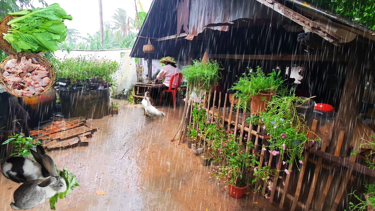Rural life in rainy day: cooking beef and organic vegetables in Village