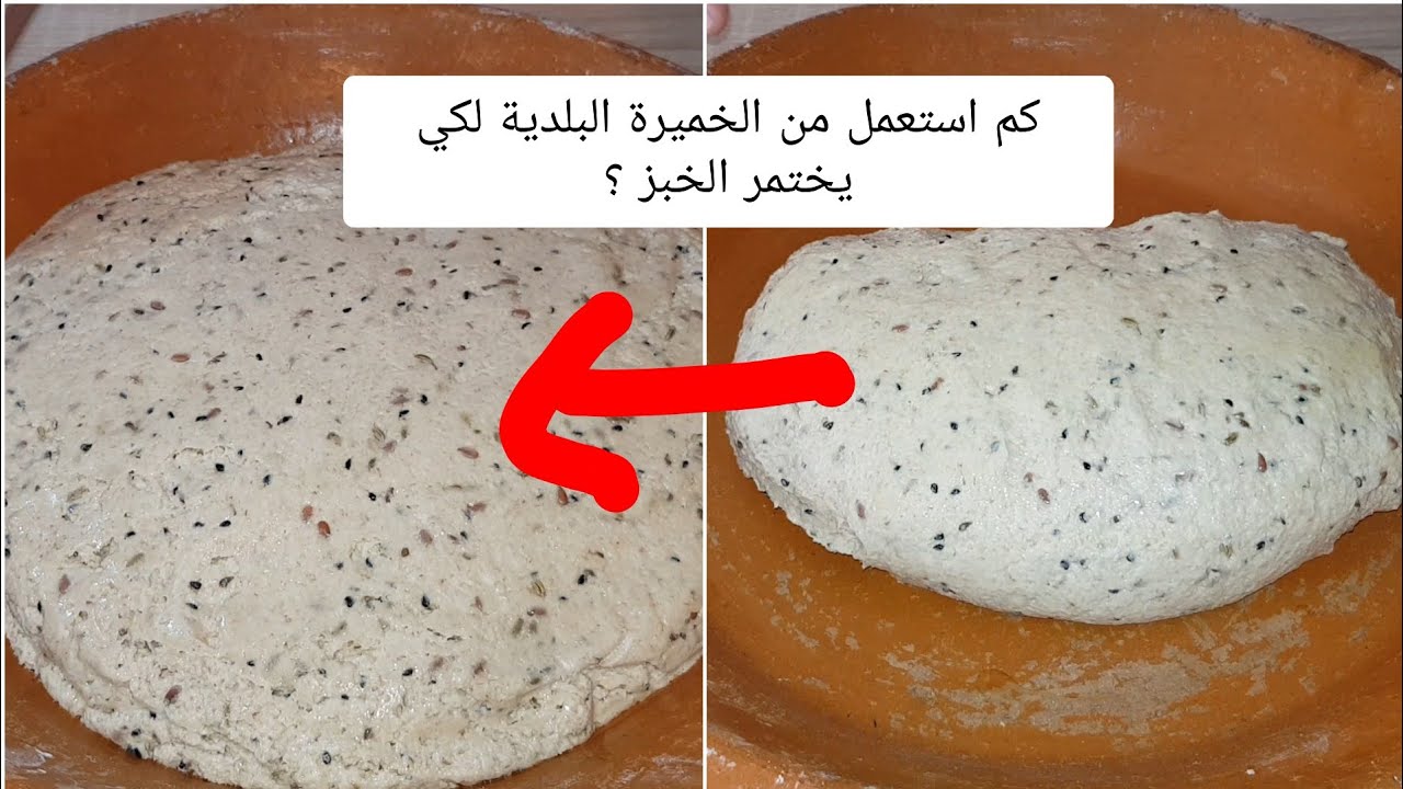 خبز بالدقيق الكامل و الخميرة البلدية و الحبوب القوية, شرح كامل للمبتدئات للحصول على خبز رطب