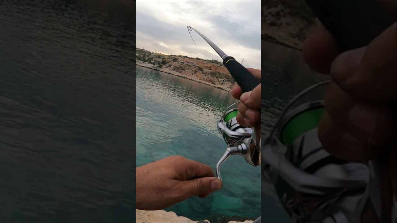 İSTEMEDİĞİN OT BURNUNUN DİBİNDE BİTERMİŞ...