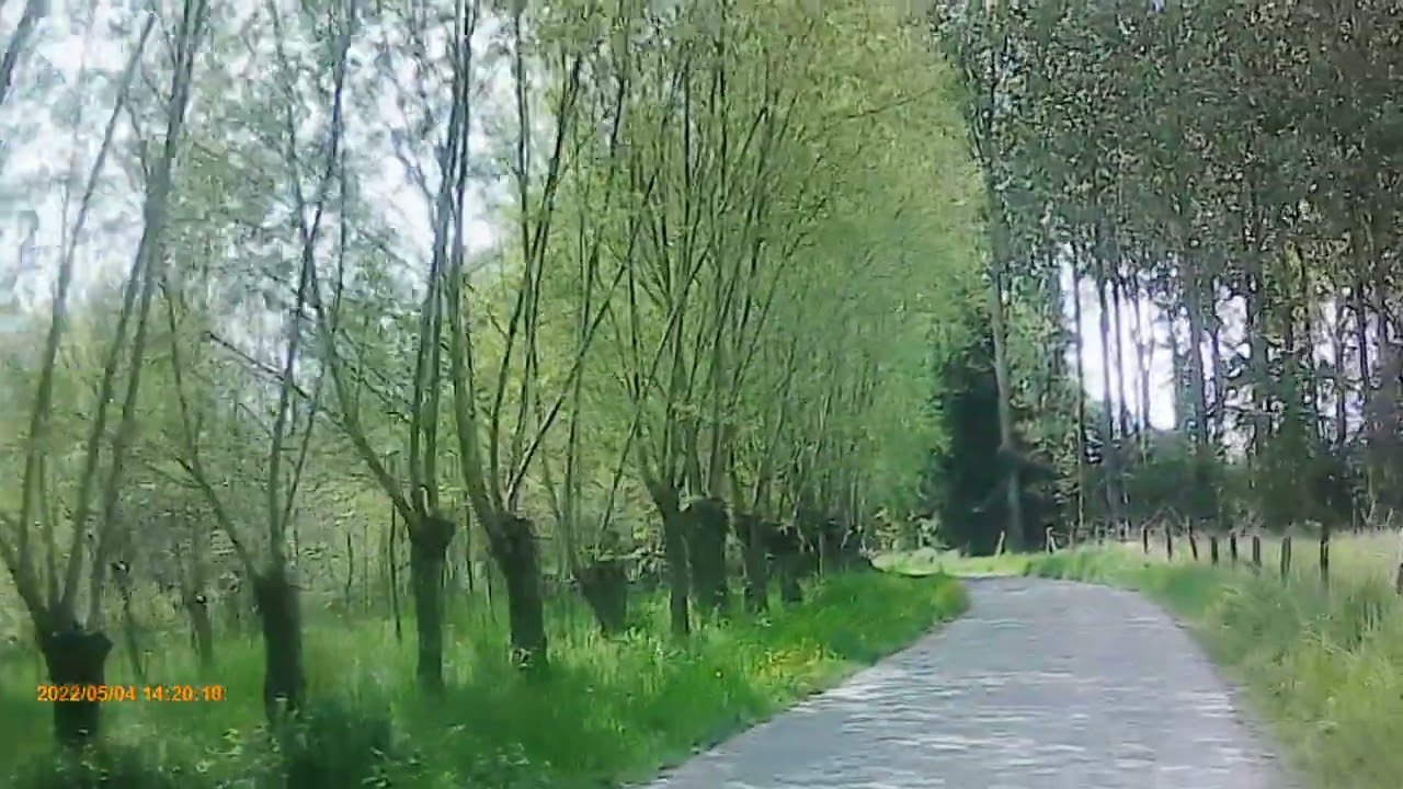 fiets 2