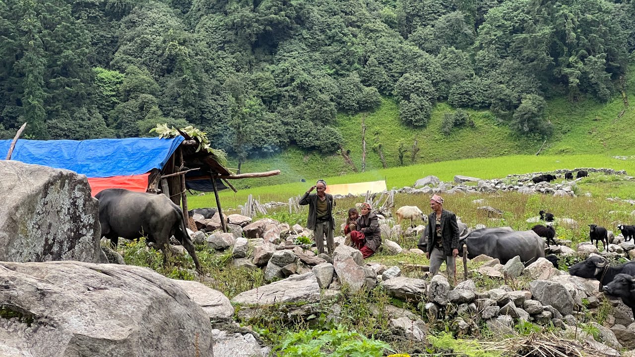 Living Very Hard Life in Nepali Mountain Village || Traditional Village Life of Nepal || IamSuman