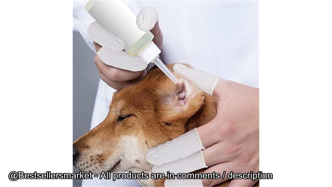 Top 5: The Best Selling Dental Infection Control on Amazon