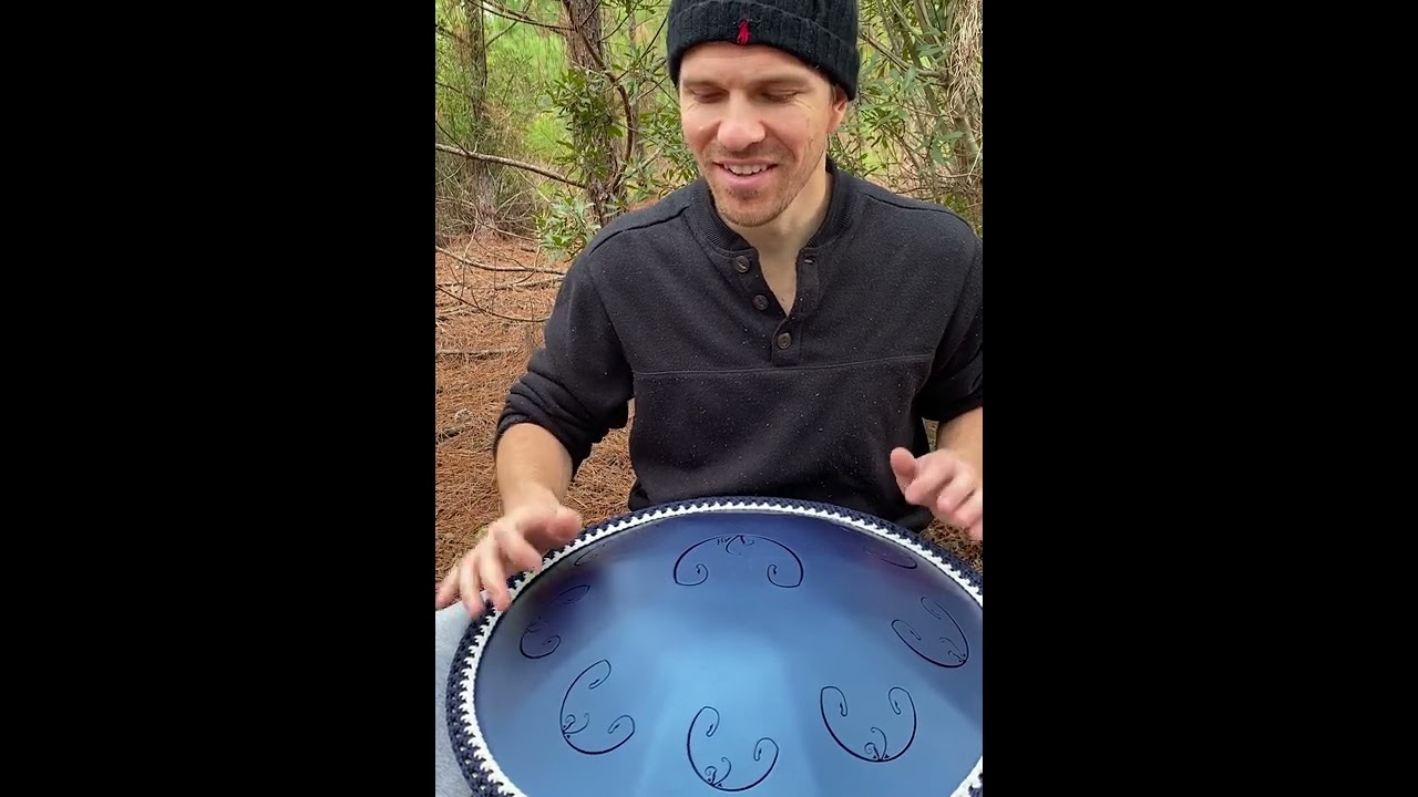 Rav Vast A Integral - Exploring the Scale in the Forest