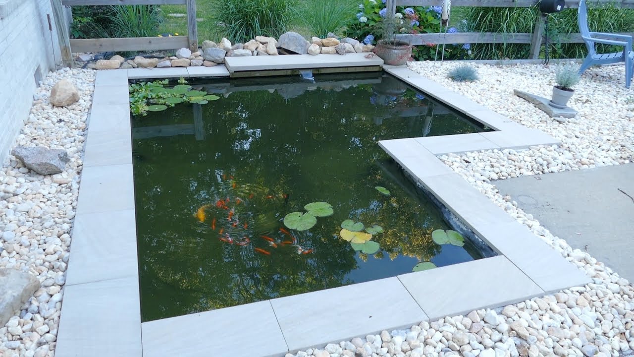 DIY Modern Backyard Koi Pond On A Budget