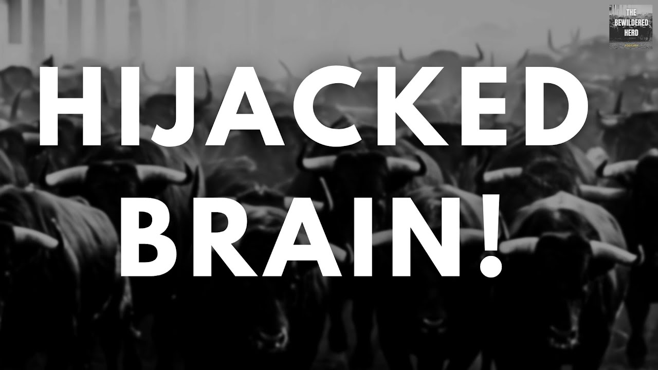Episode #28: HiJacked Brain: Dopamine, Addiction and the Illusion of Control
