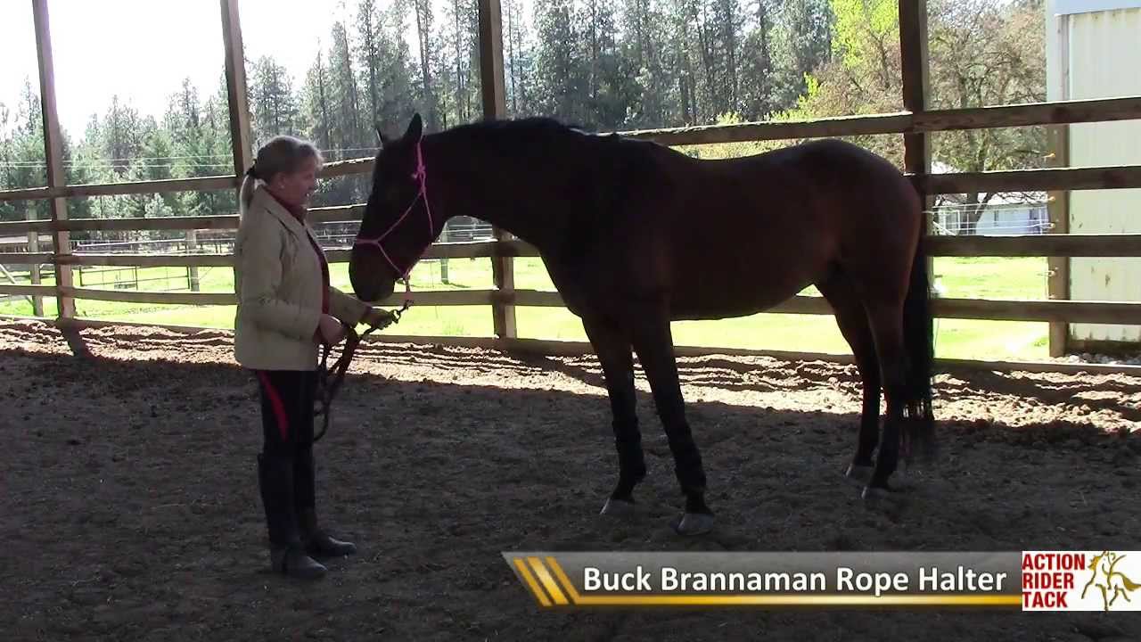 Various Halter Options for Your Horses