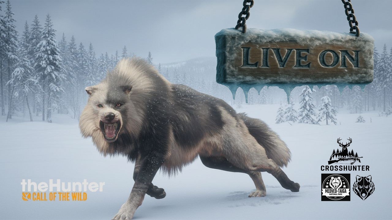 EM BUSCA DO 2 * GREAT DE LOBO NO TAIGA 126 ABATES