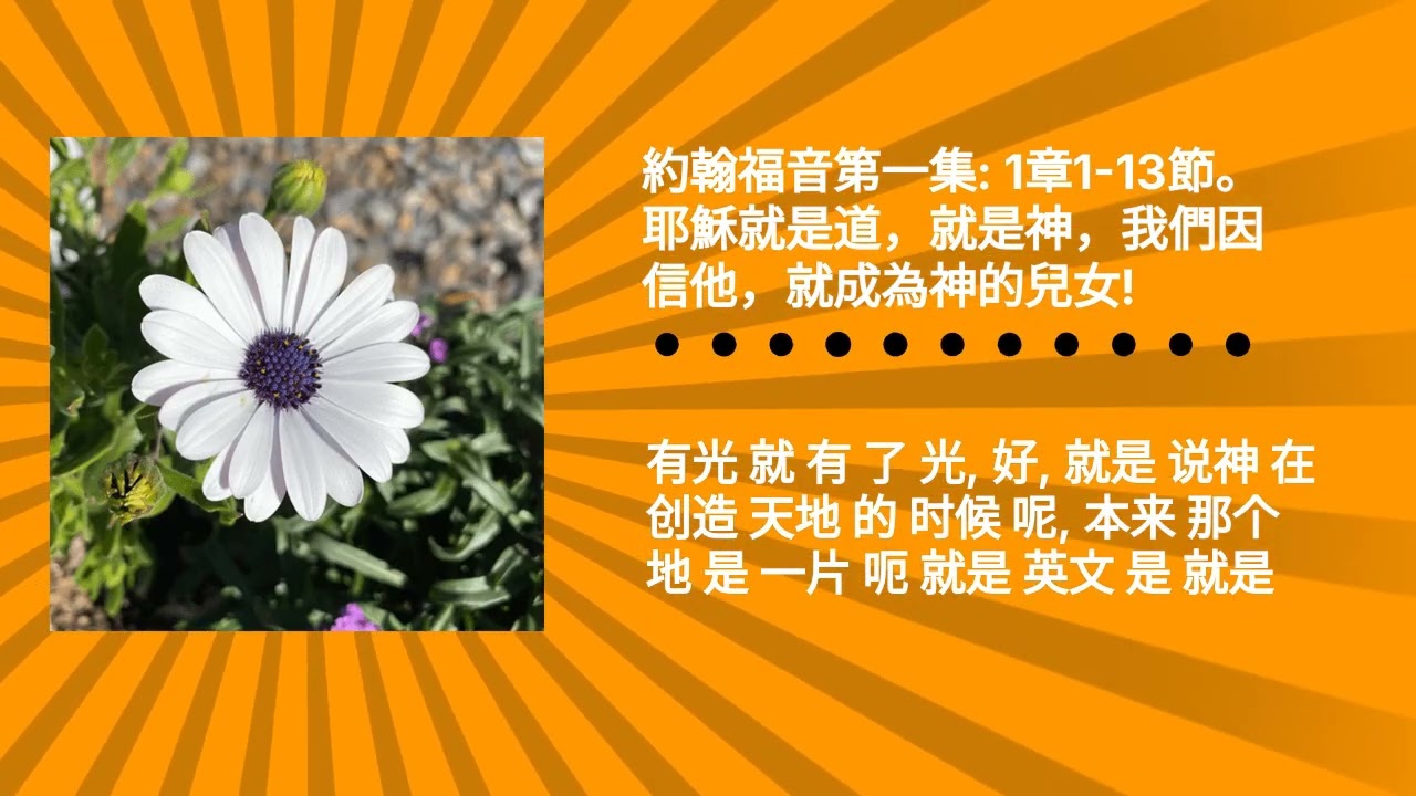 約翰福音第一集: 1章1-13節。耶穌就是道，就是神，我們因信他，就成為神的兒女! | 每天跟妮可一起讀聖經