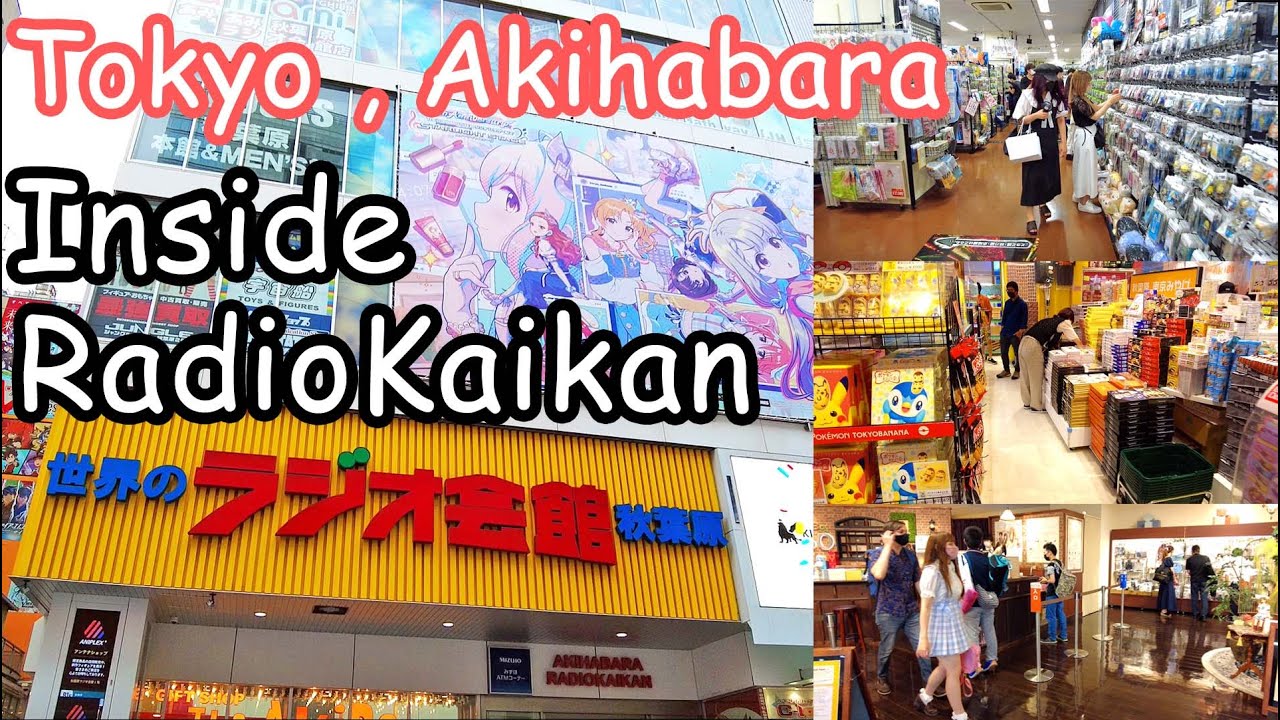 Inside Raido Kaikan , Akihabara ラジオ会館 店内 - Tokyo walk ,Japan