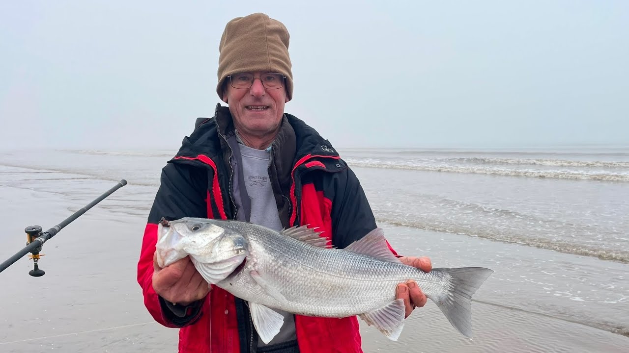 Boxing Day Bass! Sea Fishing The Bristol Channel Shore. Brean Beach Somerset 26/12/24