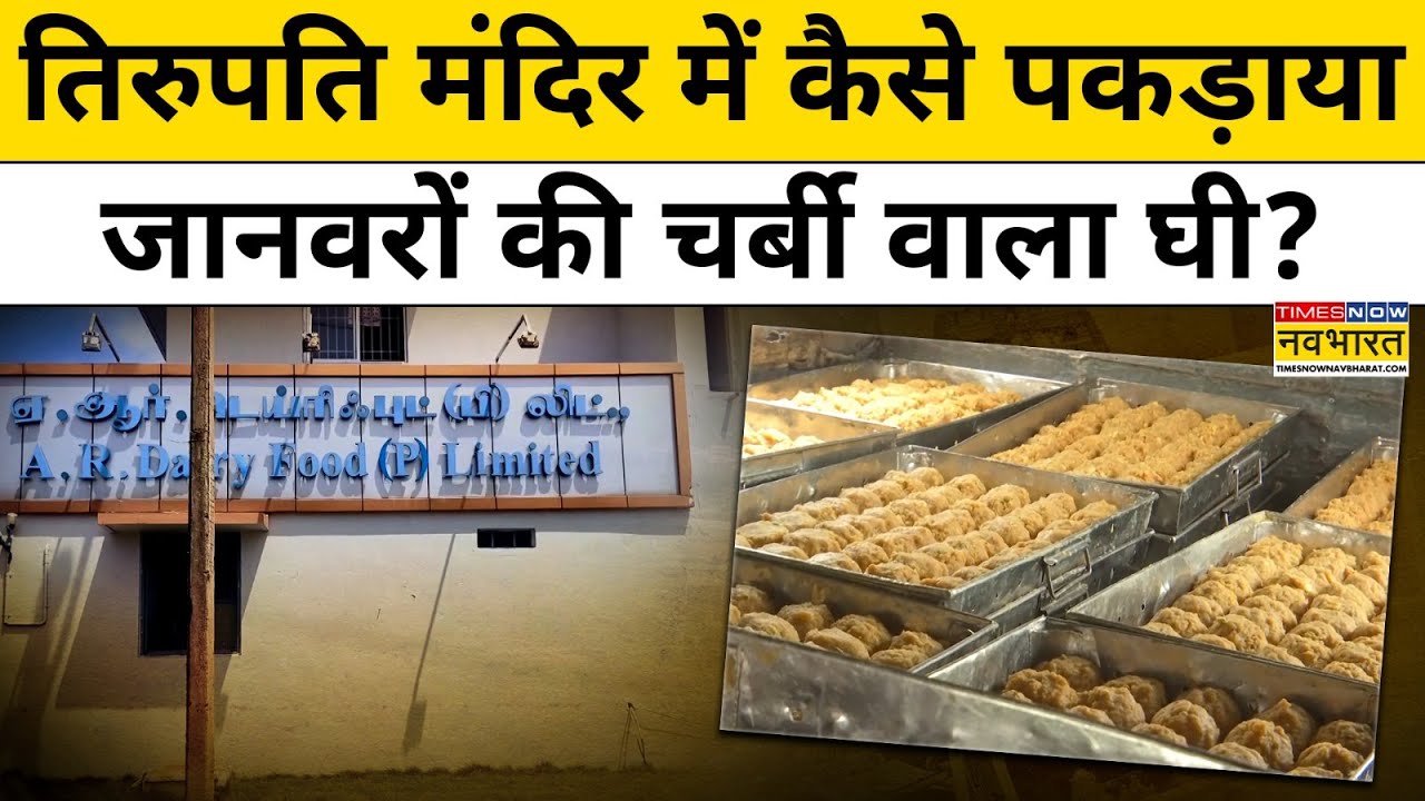 Tirupati Laddu Controversy : तिरुपति मंदिर में ऐसे पहुंचा जानवरों की चर्बी वाला घी! | Hindi News