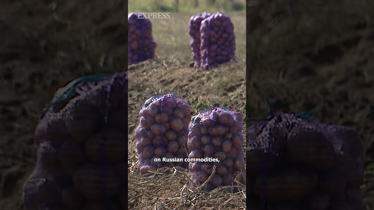 Russian economy meltdown as potato prices soar 167% as 'recession' warning sent