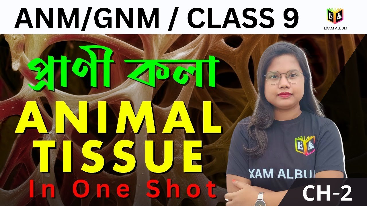 প্রাণী কলা (Animal Tissue ) IN ONE SHOT| জীবন সংগঠনের স্তর CH-2| ANM/GNM/CLASS-9 |