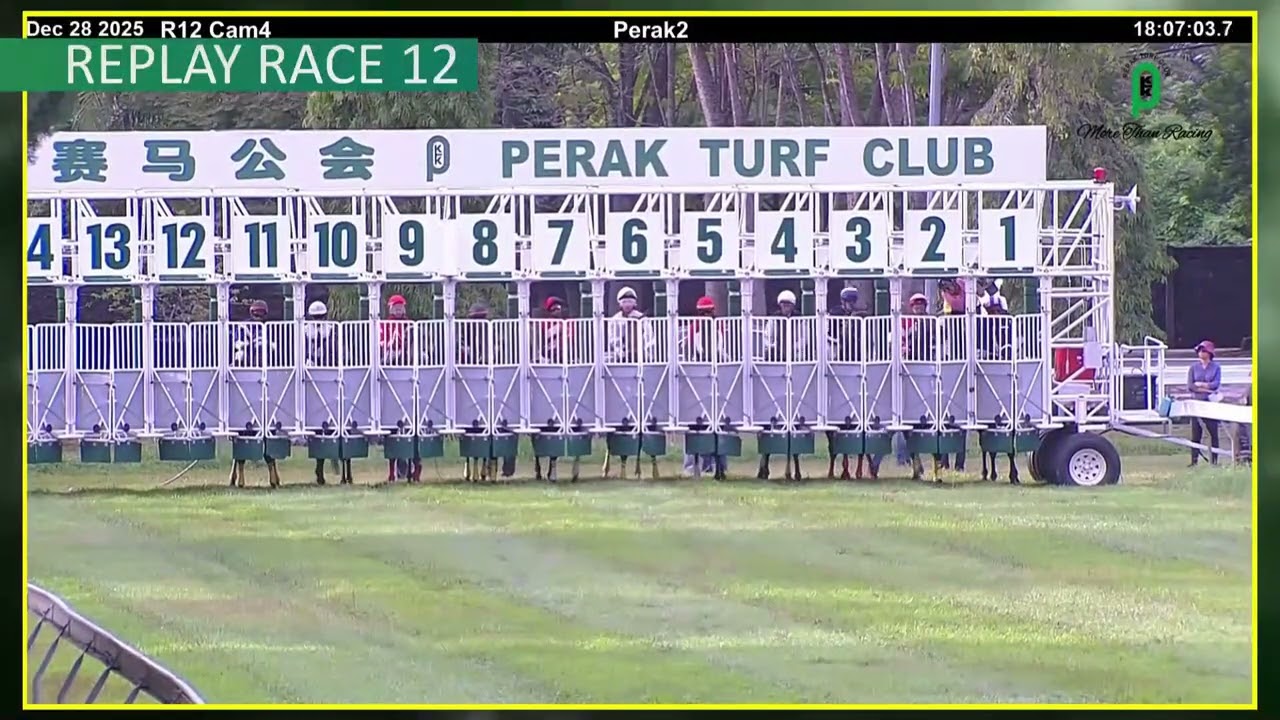 28th DECEMBER 2025 RACE 12