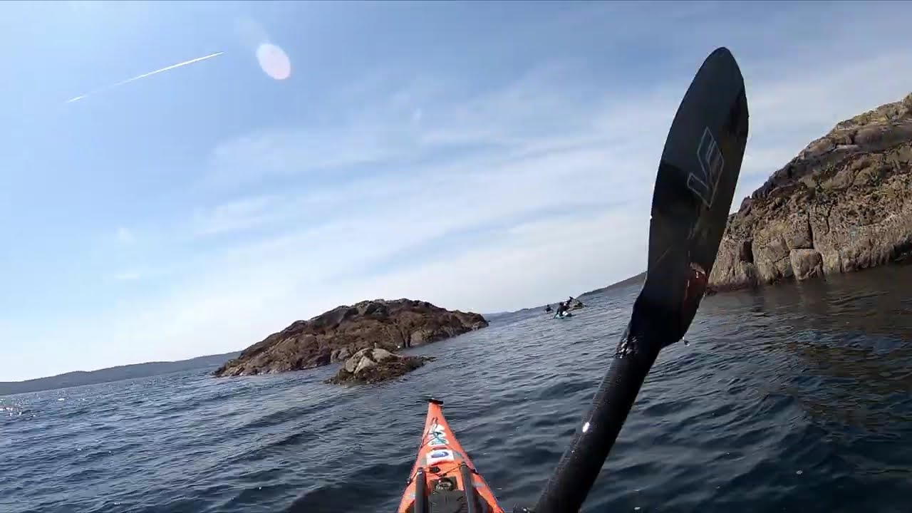Glengarriff to Zetland and Back
