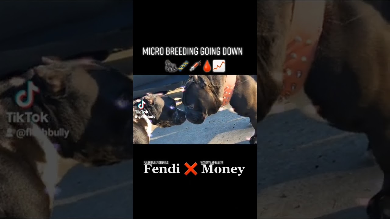 Micro Breeding
