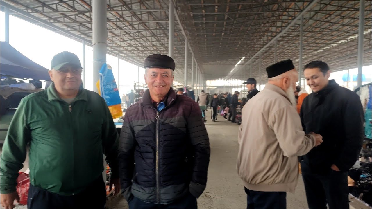 Голуби Ринка г Душанбе Рудаки Ленинский 17.11.24год
