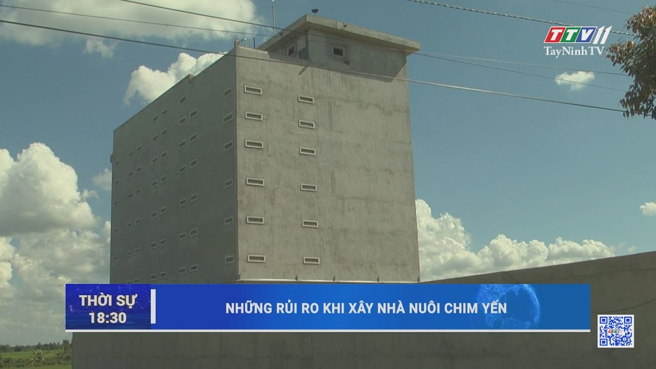 Những rủi ro khi xây nhà nuôi chim yến | NÓNG VÀ NỔI BẬT | TayNinhTV