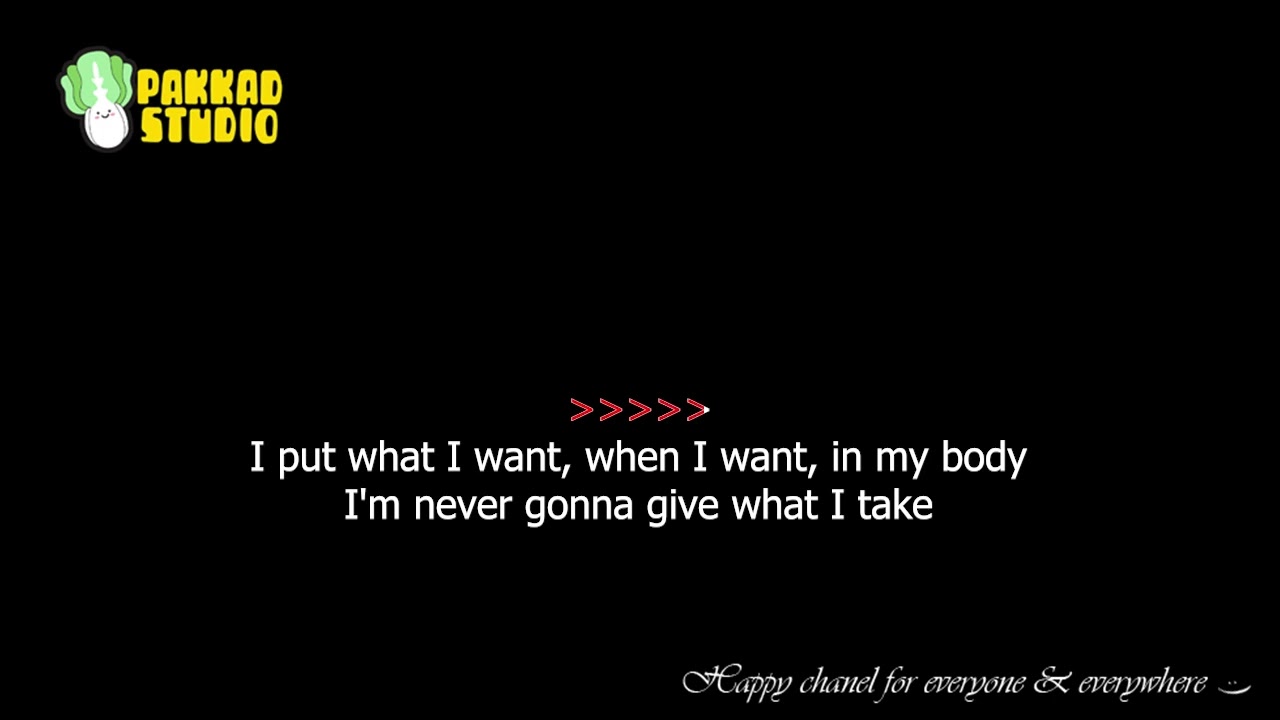 Black Kids - Hurricane Jane (Original Karaoke With chorus)
