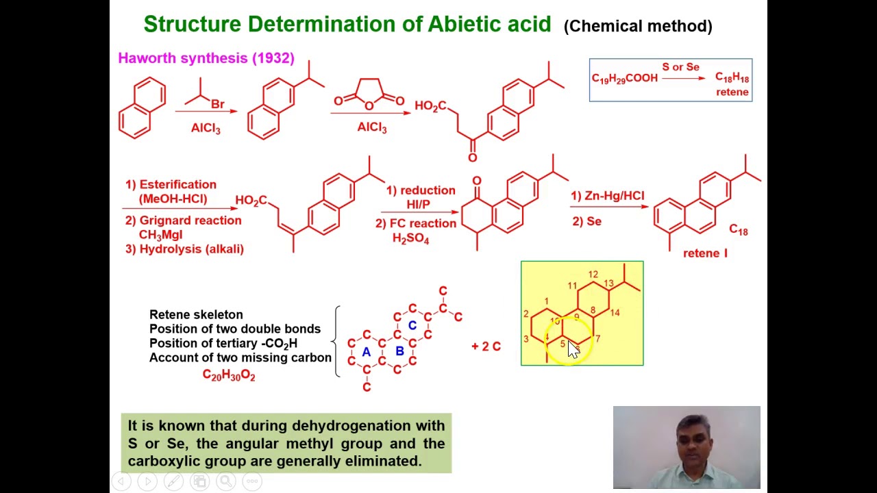 Lecture 11 Abietic acid