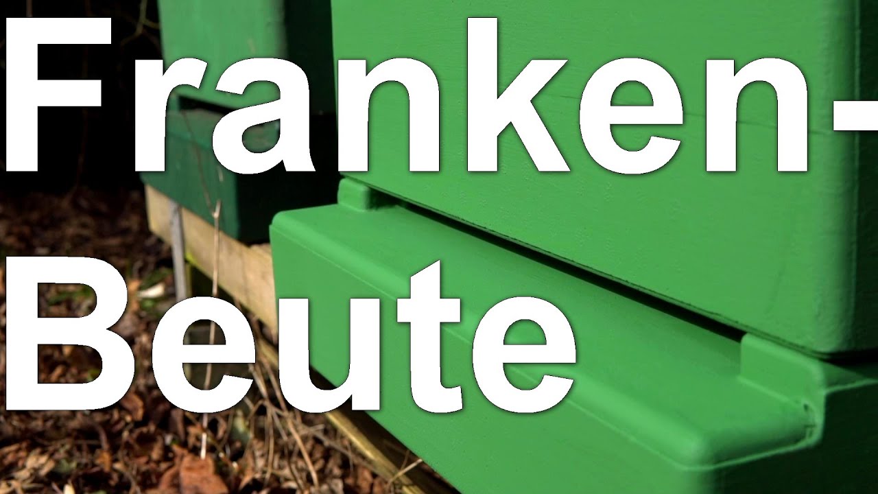 Bienen: Franken-Beute aufgestellt - Die beste Beute? Artgerecht und wesensgemäß Imkern