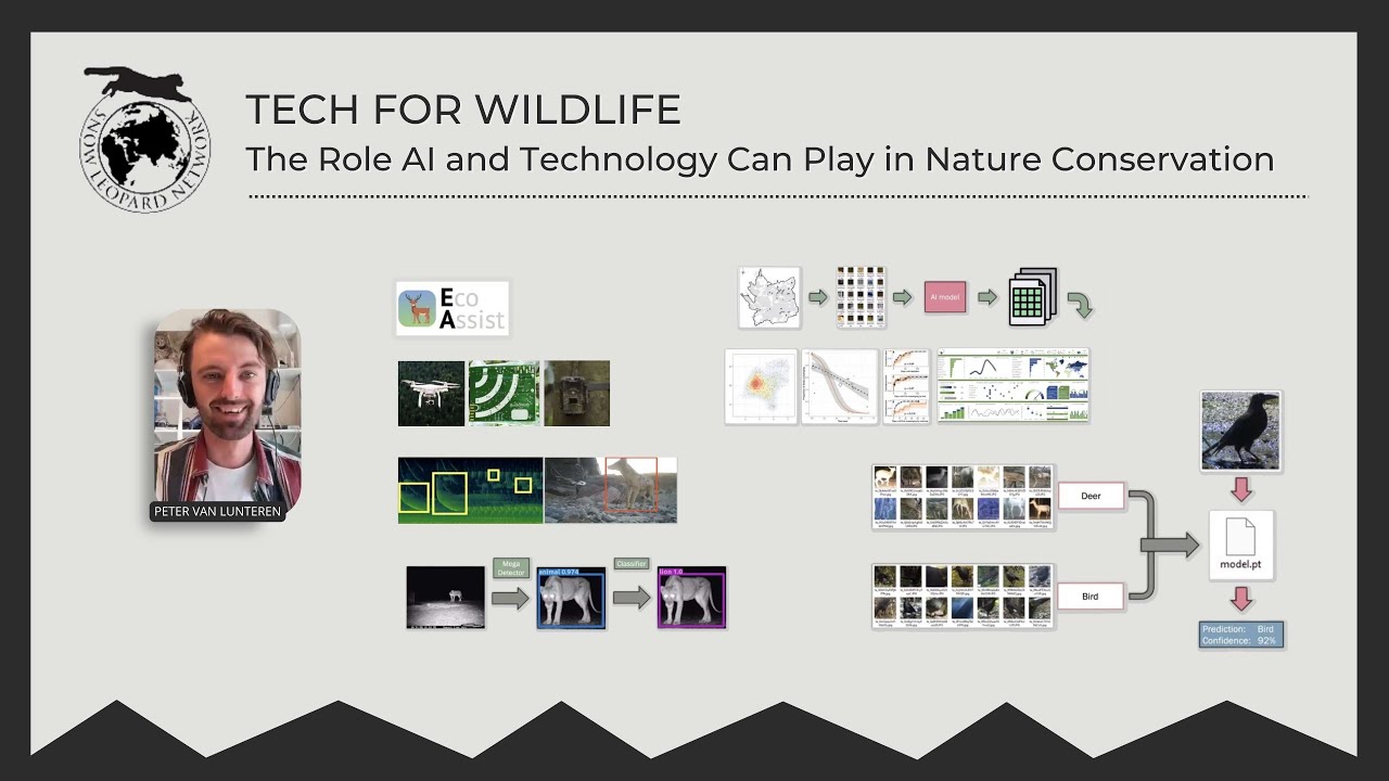 SLN Webinar: Tech for wildlife: The role AI and technology can play in nature conservation