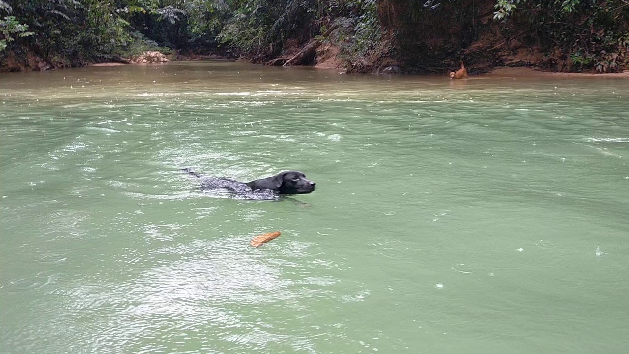 sungai ulu stapang gaat balleh kapit