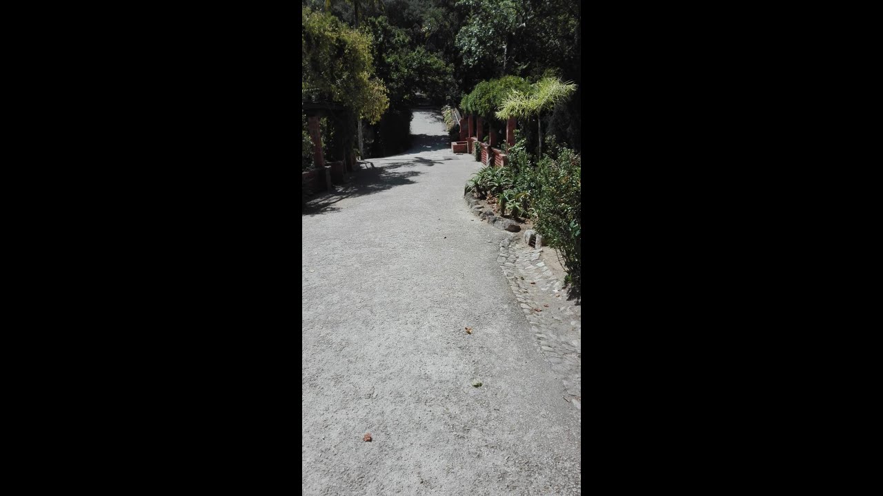 Parque de Sintra 2025 - Passeios por Ai...EP. 1