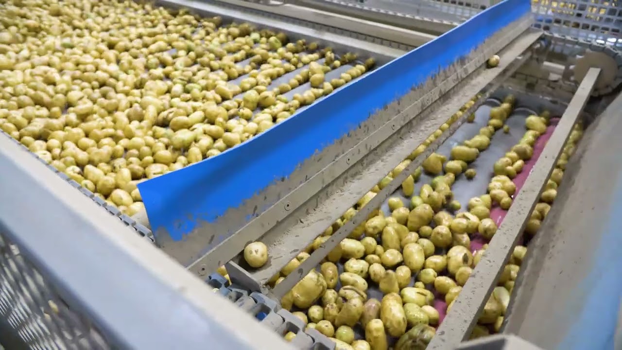 Tummers Food Processing Solutions realiseert de waslijn bij Aviko in Poperinge