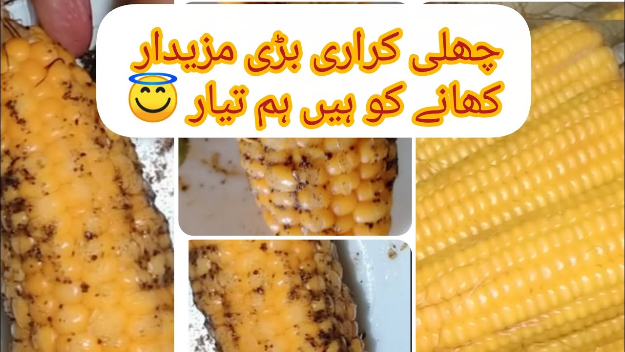 Boil corn recipe by Tasha 🌽|how to boil corn | challi recipe| boiled corn #corn #chalisa #cooking 
