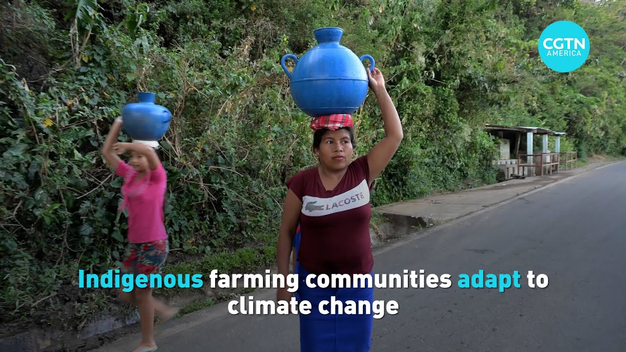 Indigenous farming communities adapt to climate change