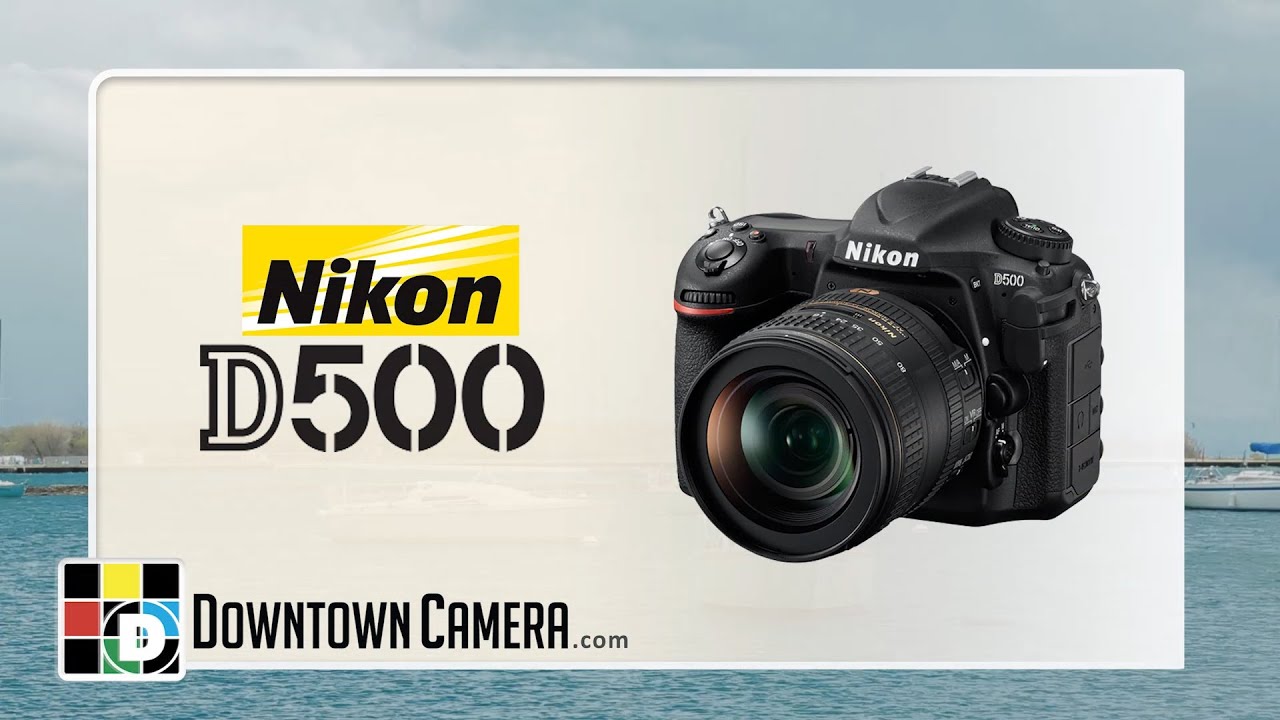 REVIEW: Nikon D500 with Raymond