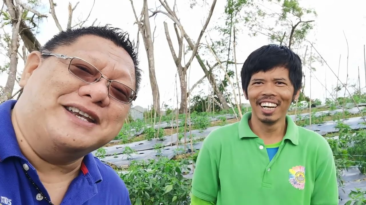 SILI ESPADA FARM - EARN MONTHLY 50K in 1000sqm or 500K in 1 hectare size farm