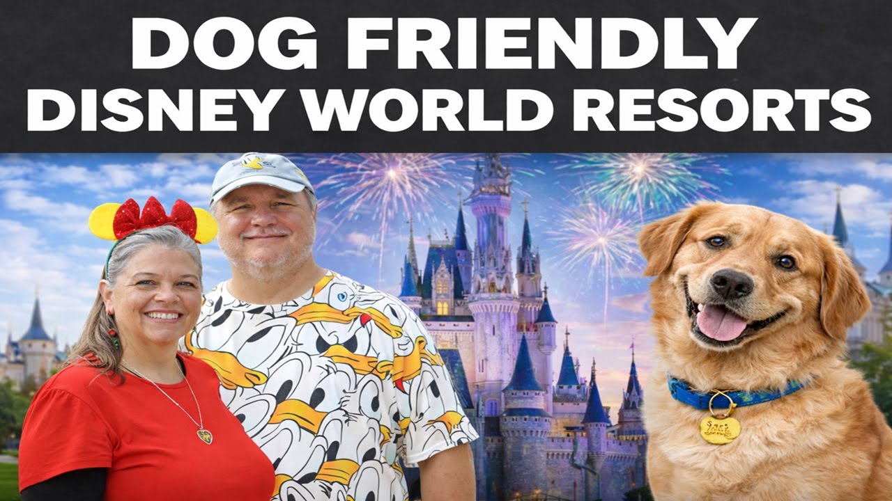 Bringing Your Dog to Disney World | Here's What You Need to Know