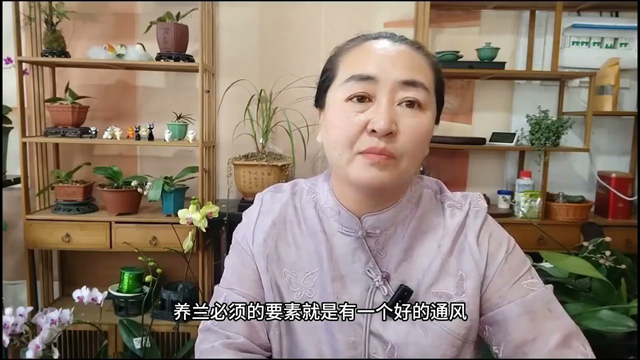养好兰花有秘诀吗？做到什么可以养好兰花呢？视频分享经验