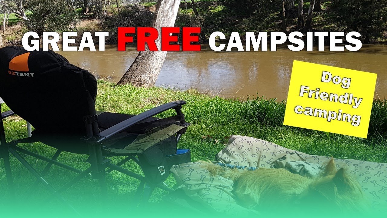 Free, Peaceful, & Dog-Friendly: 5 NSW Camps #petfriendlytravel  #caravanningaustralia #freecamping